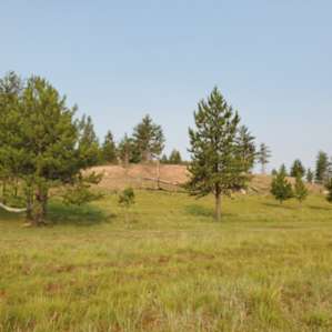 Bare Bones Bivouac