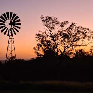 FigTree Camping with Amenities