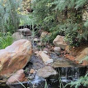 Gorgeous waterfall/feature with goldfish