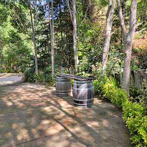 Gorgeous walking path through property