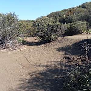 View of some of the flat area for tents.