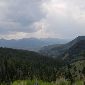 This is what you see the whole drive up to the cabin and back down.