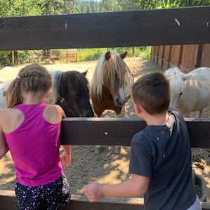 Still at the Reindeer farm! Very nice people, I recommend a visit! In summer they only tour in mornings because of heat!