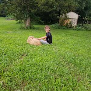 Look the goat likes me!