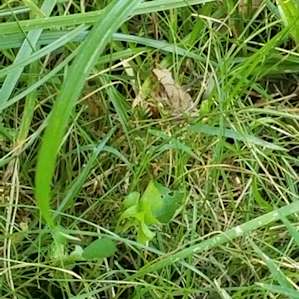 Sitting in the quiet on the trails you never know what could jump up! (Saw a baby bunny too)