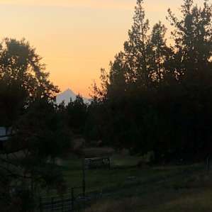 Golden Triangle RV Spot 1