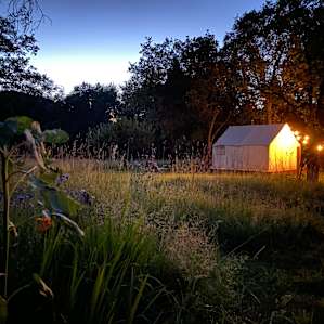 Camp Cowgirl in Applegate Valley