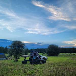 Caceres Organic Blueberry Farms