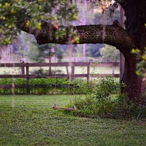 cute swing