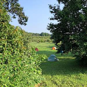 Organic Apple Orchard and Farm