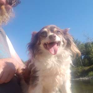 Off-Grid Farm Camping by the River