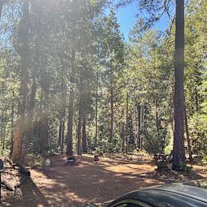 The campsite is super spacious and private! Plenty of shade for tents too!