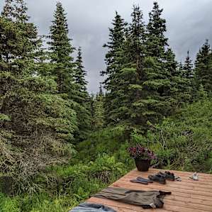 View from the deck