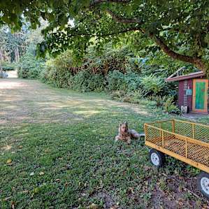"Little Jewel Box in the Woods"