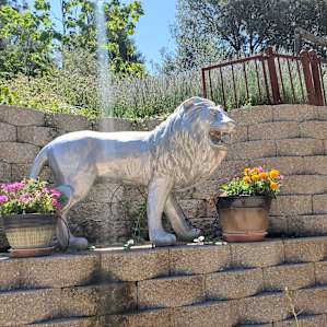 Huge lions greet you in the parking area
