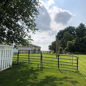 Farm Living at a Quiet Horse Rescue