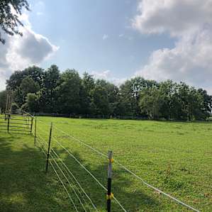 Farm Living at a Quiet Horse Rescue