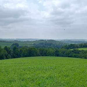 View from one of the walking trails