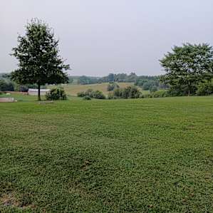 Camp Coca Cola (tent site)