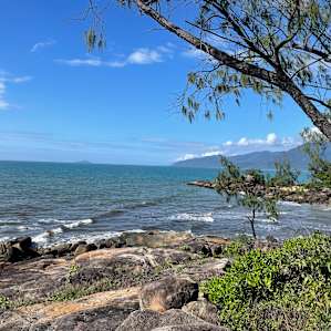 Where The Rainforest Meets The Sea