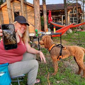 The Hairy Bear Camp