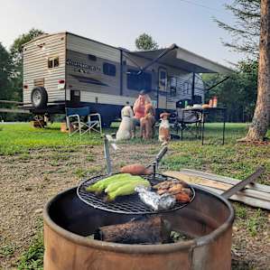 The Hairy Bear Camp