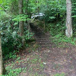 Steps to car (only 25 and not too steep)