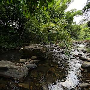 Hacienda Monte Rey Campgrounds