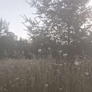Onalaska Farm Sanctuary
