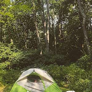 Primitive wooded campsite