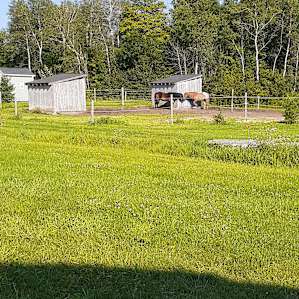 Camper Site On The Horse Farm!