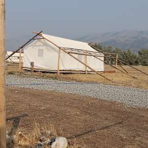 Yellowstone Dreamin Camp
