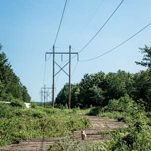 Railroad ties keep feet dry in the marshy terrain