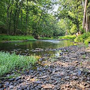 Bluff Camp Spot (Camp, Fish, Swim)