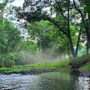 Bluff Camp Spot (Camp, Fish, Swim)