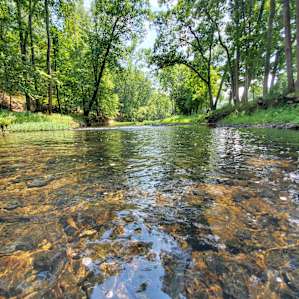 Bluff Camp Spot (Camp, Fish, Swim)