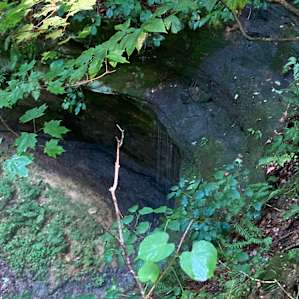 The ravine.