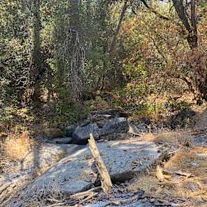 Dry Creek Camping
