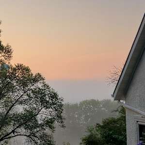 Foggy sunrise