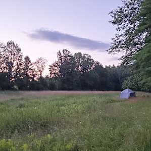 SpringForest, FieldEdge or PondSide