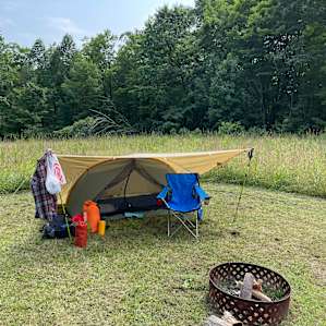 Regenerative Farm Stay: Field Site
