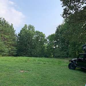 New Forest Camping