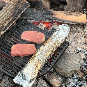 New Forest Camping