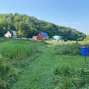 Willow Creek - camp with alpacas