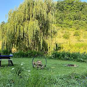 Willow Creek - camp with alpacas