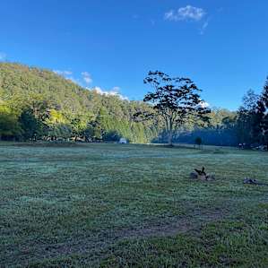 Rowlands Creek Camp Area