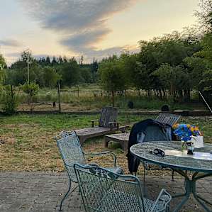 Valley Camping by the Goats