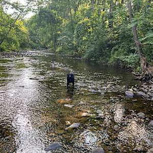 Bluffs at cedar creek