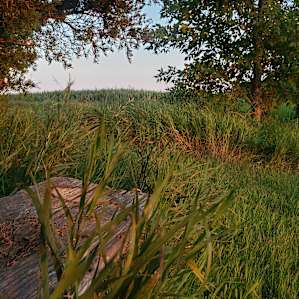 Scenic Skywood Acres