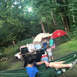 Primitive wooded campsite